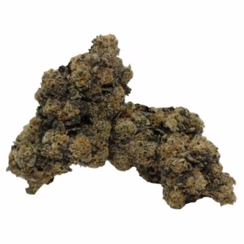 RC Supply Co. - Pink Rockstar