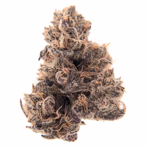 Full Sesh - Purple Gelato Punch