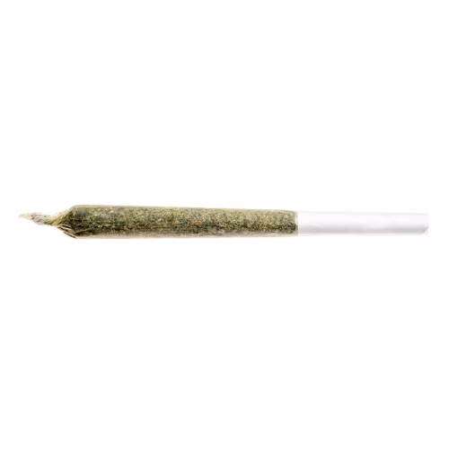 Good Supply - Dealer's Pick/Grower's Choice Sativa Pre-Roll
