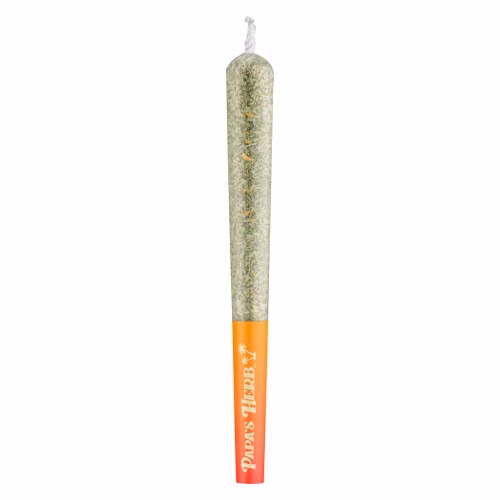 Papa's Herb - Sativa Fruit Punch Infused Terp Stix Pre-Roll