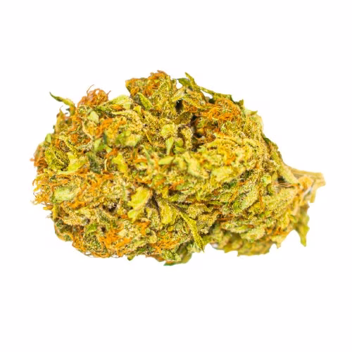 Color Cannabis - Black Sugar Rose