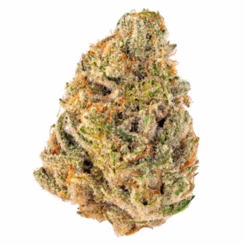 Ouest - Bermuda Triangle