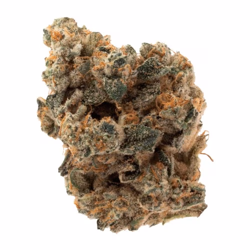OGEN Ltd. - Space Flight Superstar #11