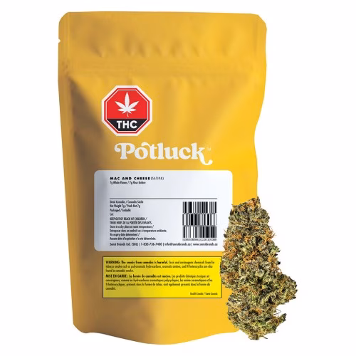 Potluck - Mac and Cheese