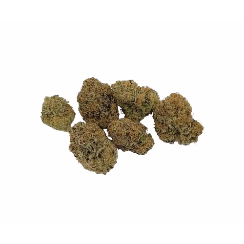 Palm Gardens Cannabis - Typhoon Berries