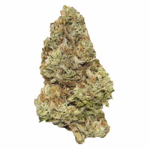 Contraband - Golden Tangie