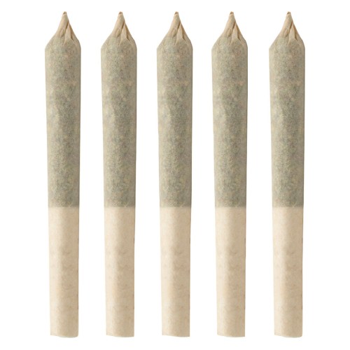 Simply Bare - BC Organic Harlequin