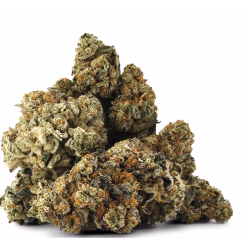 BC Black x Dunesberry Farms - Select