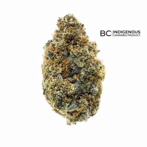 All Nations - Lemon Tartz