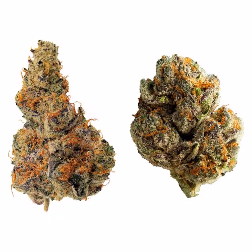 Dank Craft - Dynamic Duo
