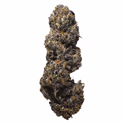 3rd Coast Genetics - The Dark Side (CLEAR BAGS!)