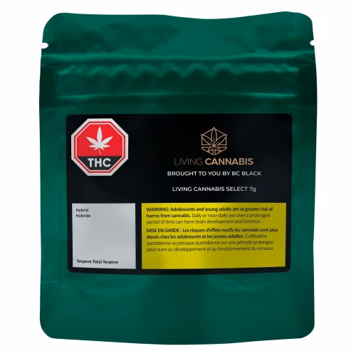 BC Black x Living Cannabis - Living Cannabis Select