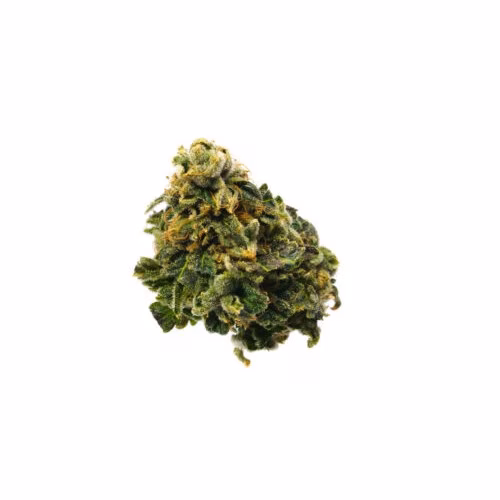 Western Cannabis - Chocolate Diesel