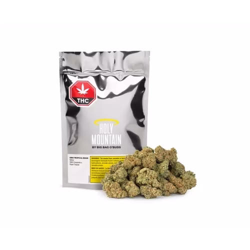 Holy Mountain - GMO Tropical Reign
