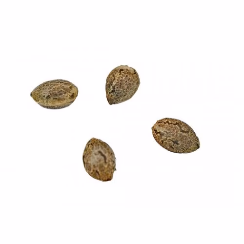 Weed Me - Skunk Va Seeds