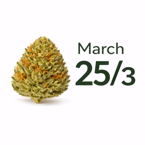 7g