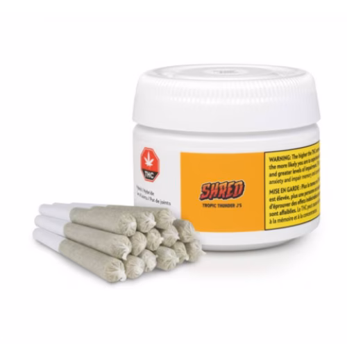 Tropic Thunder J's Pre-Roll