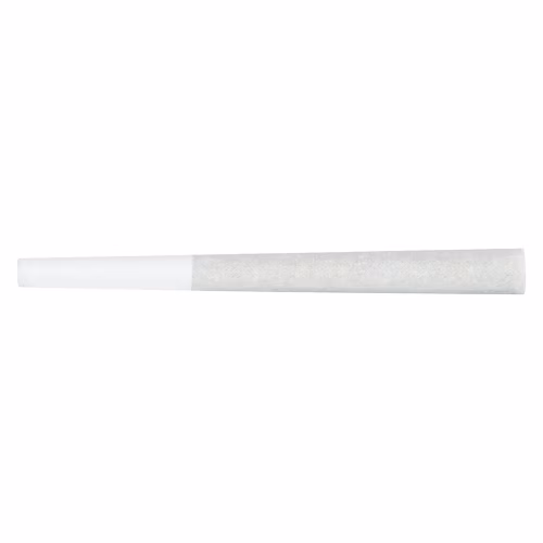 Neon Lotus Pre-Roll