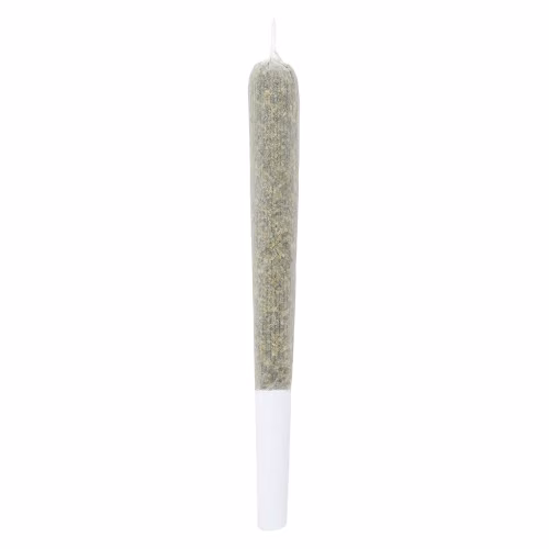 Black Cherry Soda Pre-Rolled Craft Cannabis