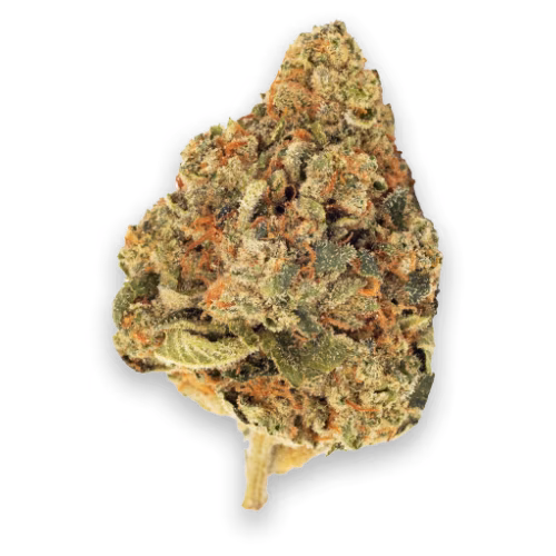 FIGR - Sunshine Bubble Kush