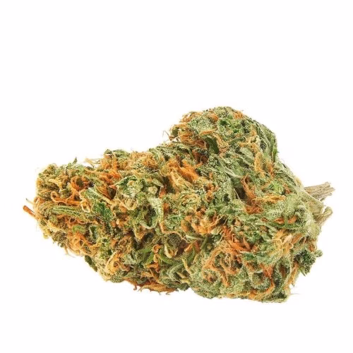 T8C Local Cannabis - Super Silver Haze
