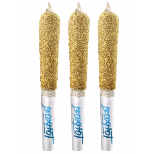 BOXHOT - Dusties - Sub Zero Kief-Coated Infused Pre-Roll