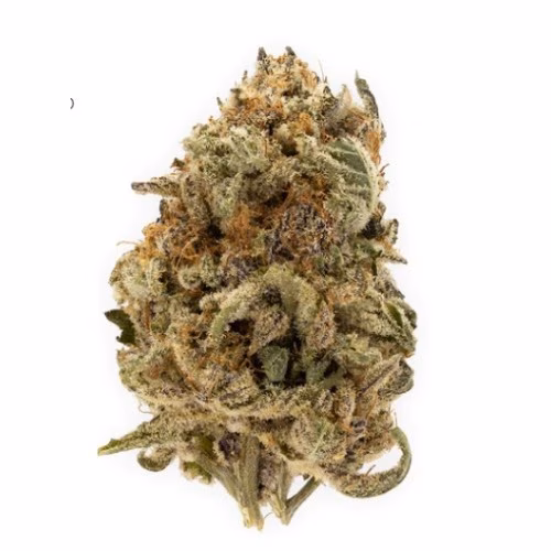 Herbal Dispatch - Grape Pupil