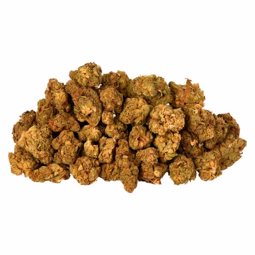 Twd.28 - Indica Bud