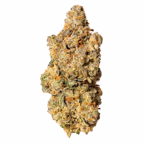 Blanh Sativa