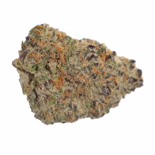 CanWe - Peanut Butter Rockstar