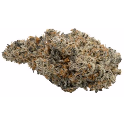 Koots Canna - KC Crush