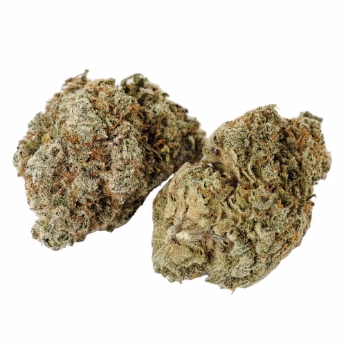 Kolab Project - Kolab Project x Safari Flower Co. Sticky Monkey