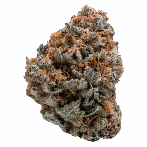 Top Leaf - Black Domina