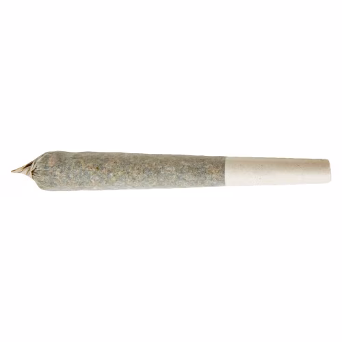 Unicorn Blood Distillate Infused Pre-roll