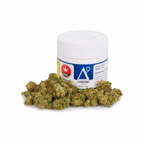 Delta9 - CBD Skunk Haze