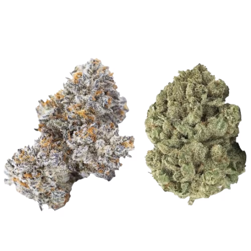 3rd Coast Genetics - Gold Cash Gold & Pure Michigan Mixed Pack