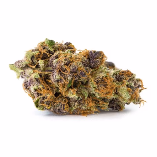 Tangerine Dream SR