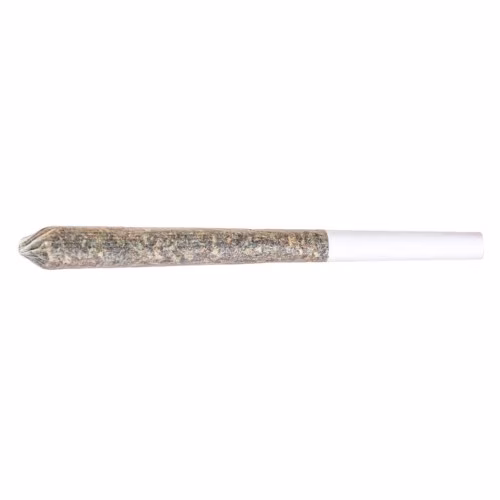 Station House - Amnesia Haze