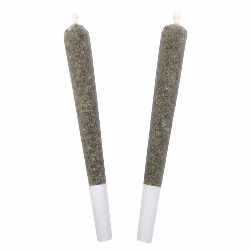 BC Doobies - Velvet Haze Pre-roll