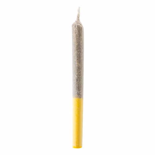 PINNRZ™ - Yellow (Fruit and Citrus and Berry)