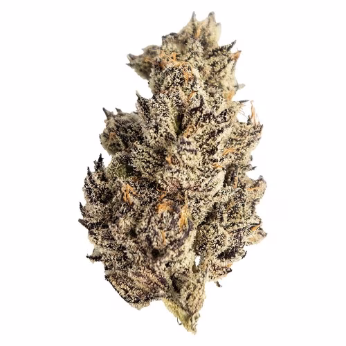 Seaweed Craft Cannabis - James' Celebration: Craft Small Batch Rotational