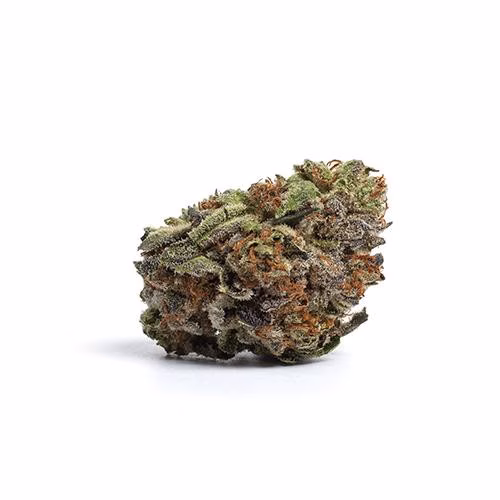 liiv - Bali Kush