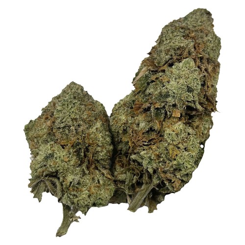 Honah Lee Haze by Puffer’s Paradise