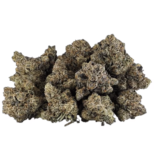 BC OZ - Snow Globe