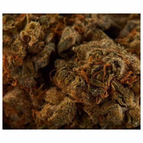 Delta9 - House Sativa