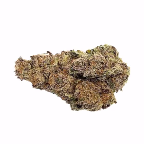 VIGR - Watermelon OG Pre-Rolls