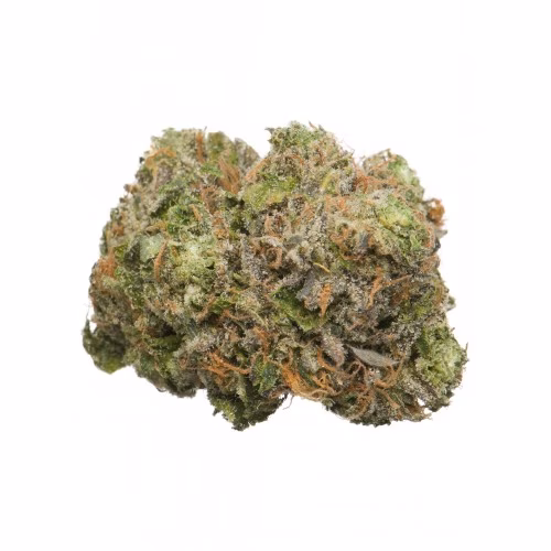 Namaste - D. Bubba