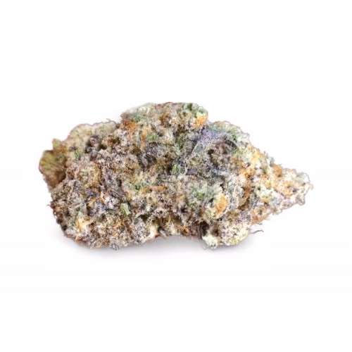 BC Black x Miracle Valley - Landslide