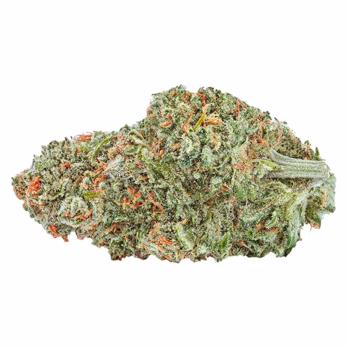 The Green Organic Dutchman - Organic Sugar Bush