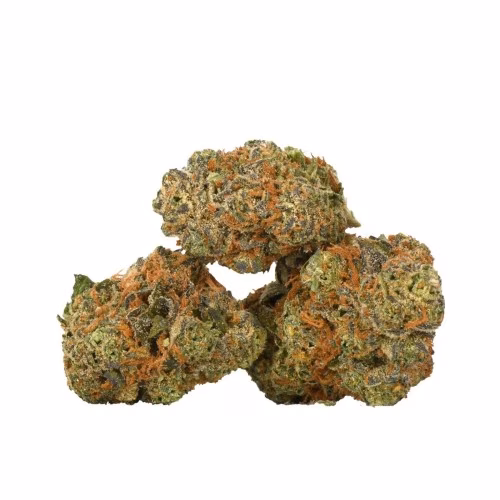 TABLE TOP - Grease Monkey